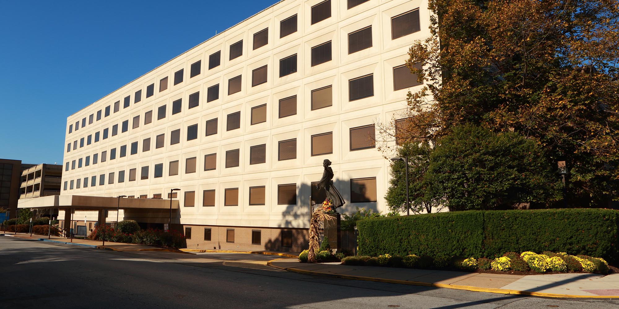 Saint Francis Hospital