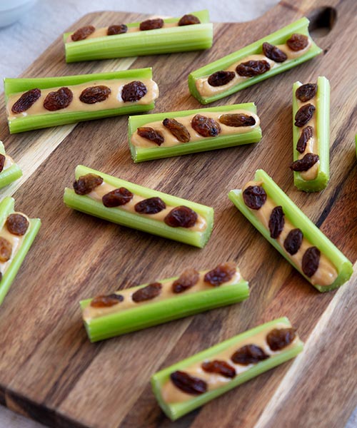ants on a log