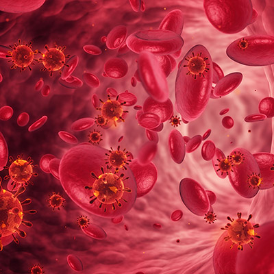 Microscope view of blood cells