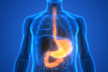 The digestive tract shown inside of a sihlouette of a human body